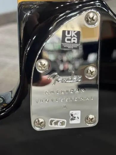 Fender American professional II Precsion Bass | Black w case 2